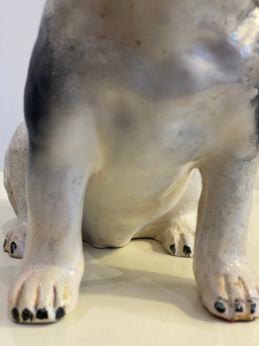 Bavent, French Bulldog -photo-4
