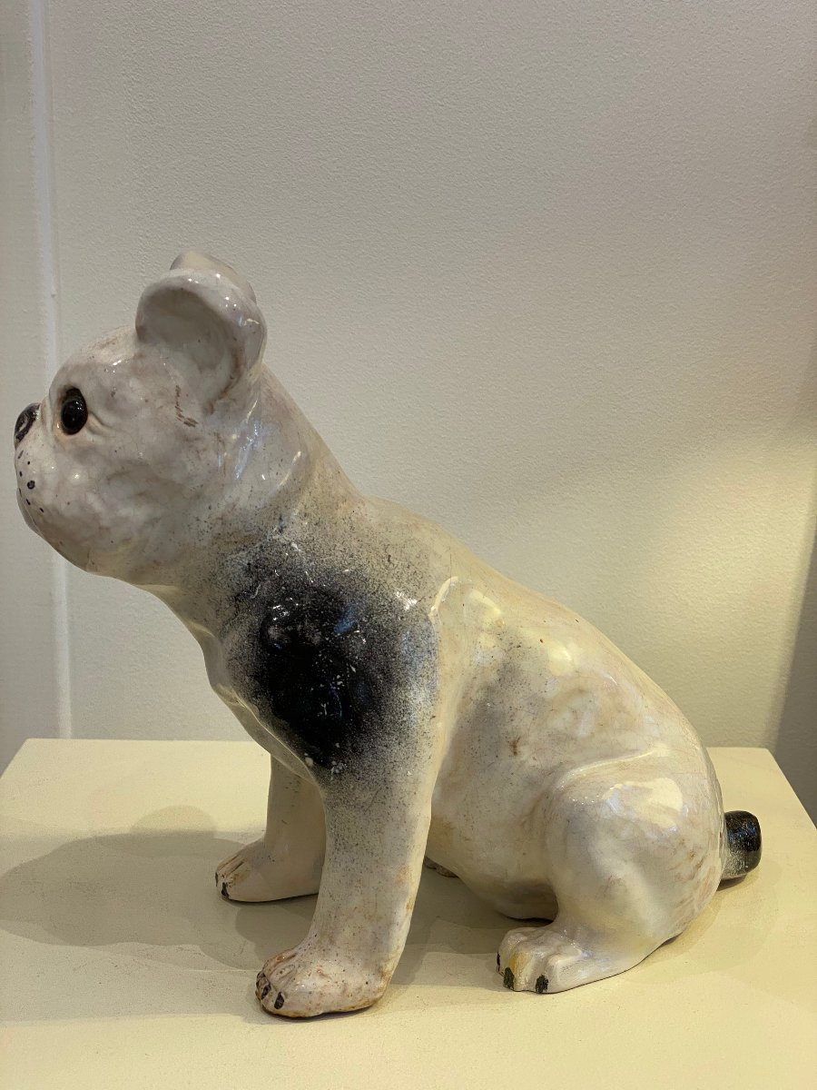 Bavent, French Bulldog -photo-1