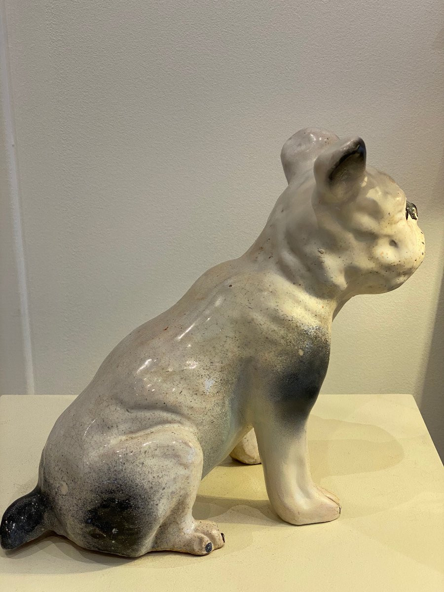 Bavent, French Bulldog -photo-3