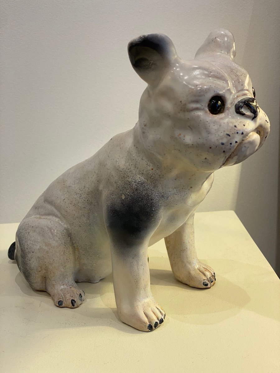 Bavent, French Bulldog -photo-4