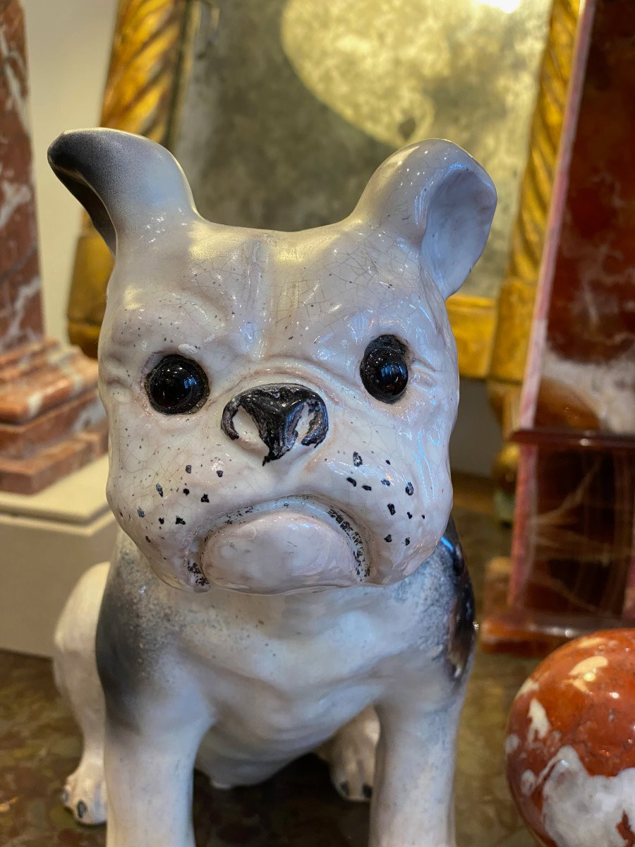 Bavent, French Bulldog -photo-5