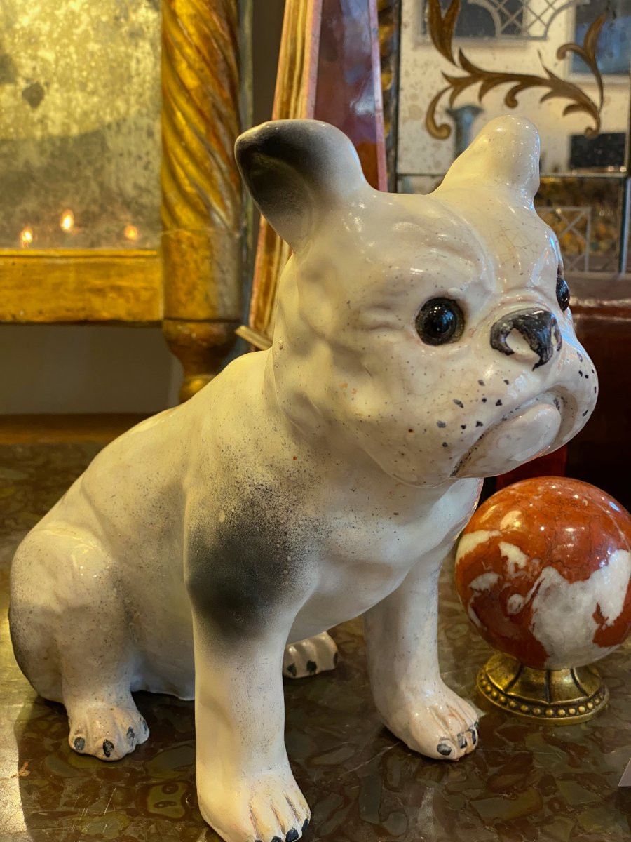 Bavent, French Bulldog -photo-6