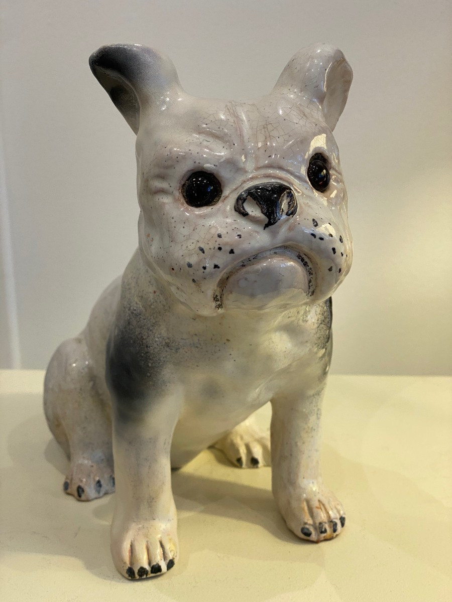 Bavent, French Bulldog 