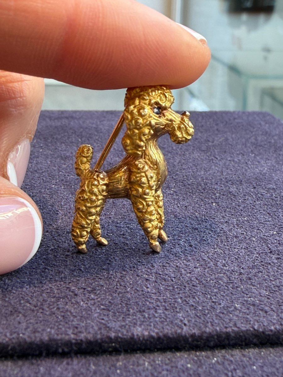 BROCHE CANICHE EN OR -photo-3