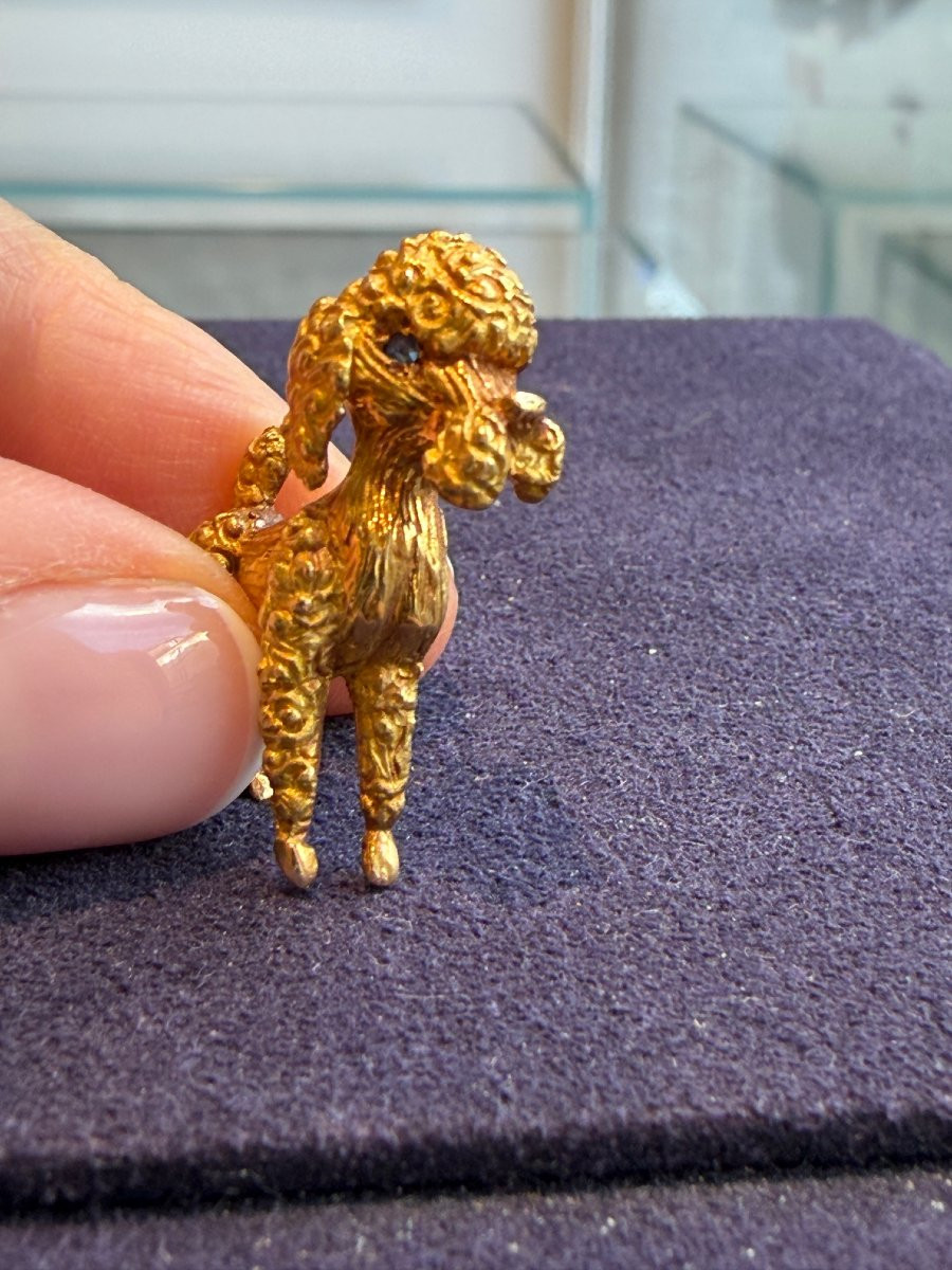 BROCHE CANICHE EN OR -photo-4