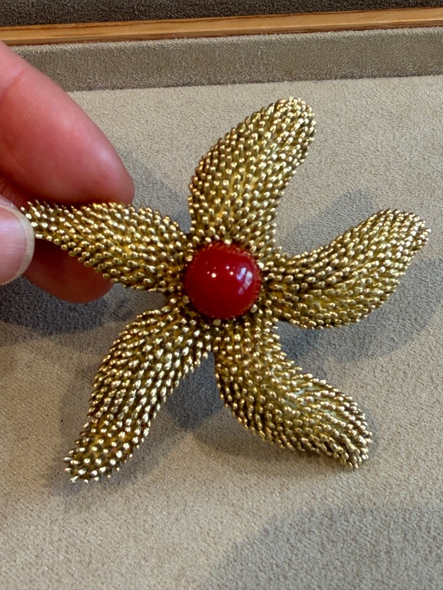BROCHE ETOILE DE MER EN OR JAUNE 18K-photo-2