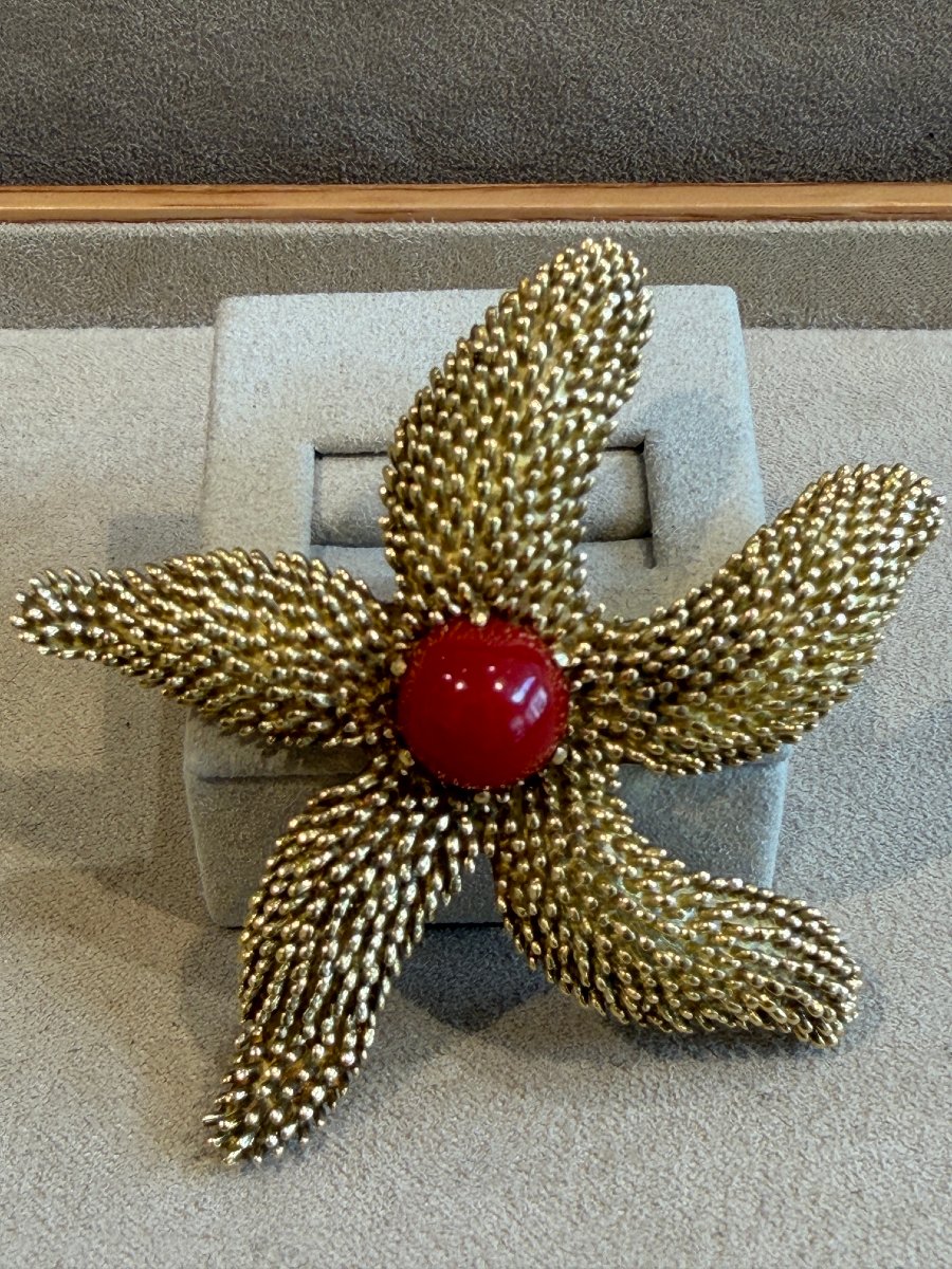 BROCHE ETOILE DE MER EN OR JAUNE 18K-photo-1