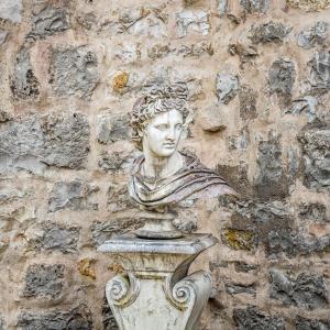 Bust Of The Belvedere Apollo In Natural Stone, Second Half Of The 20th Century