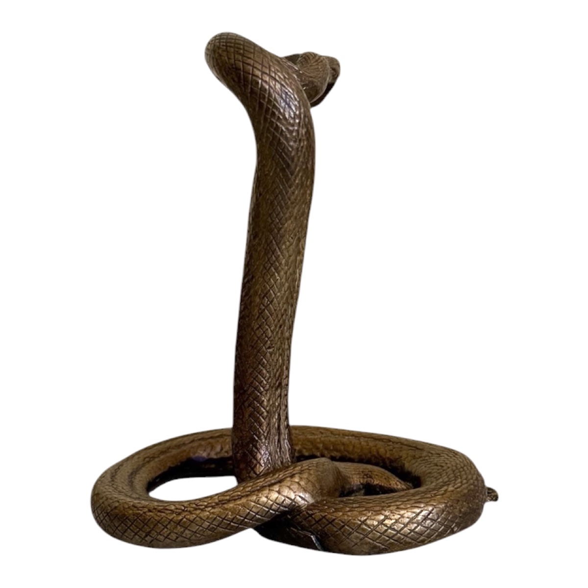 Ancien Serpent Cobra Dressé en Bronze patiné -photo-3