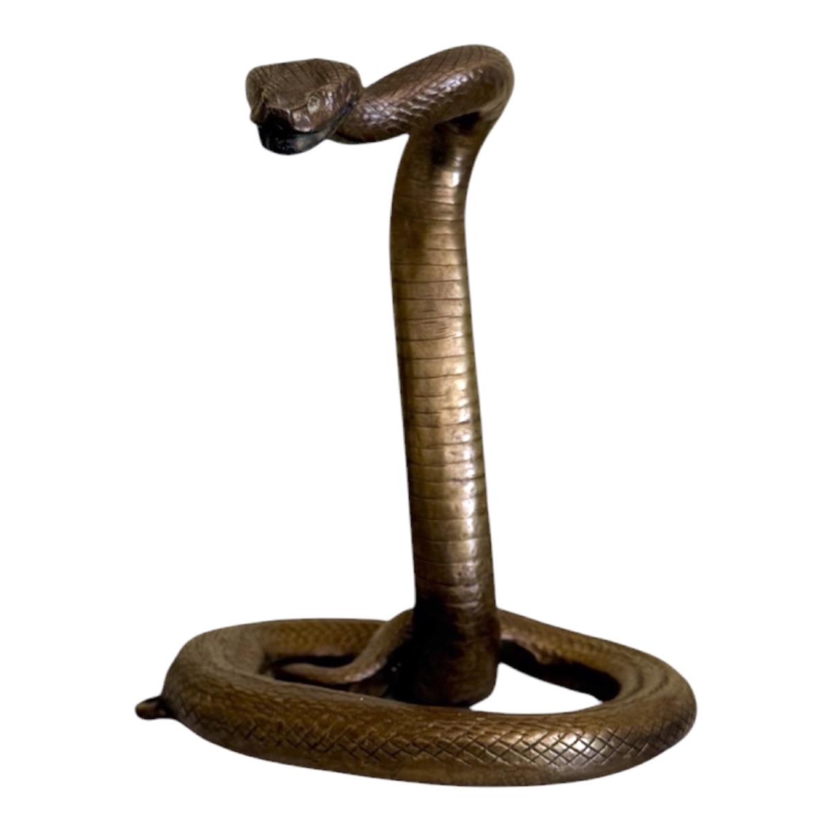 Ancien Serpent Cobra Dressé en Bronze patiné -photo-2