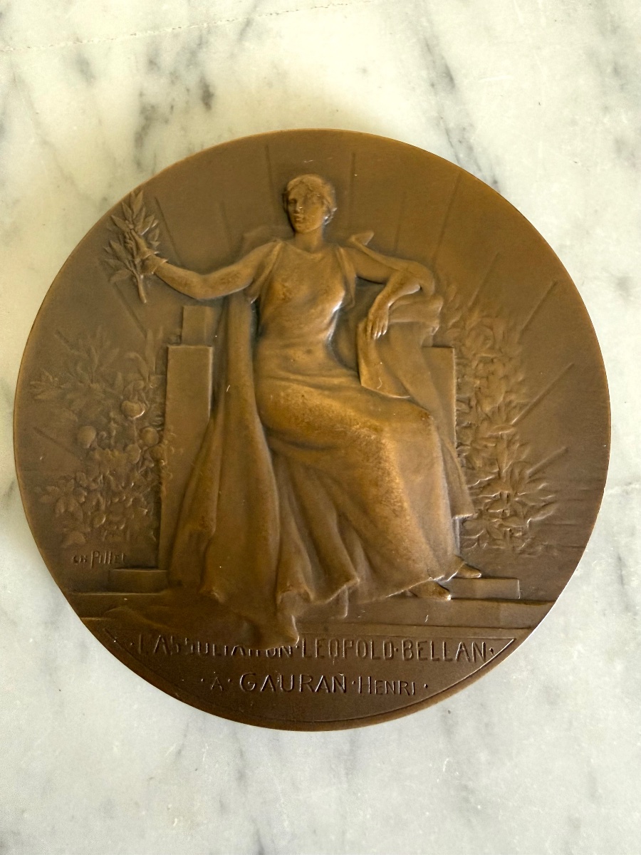Médaille en bronze s. Charles Pillet Nymphe de la Seine, la Bienfaisance-photo-4