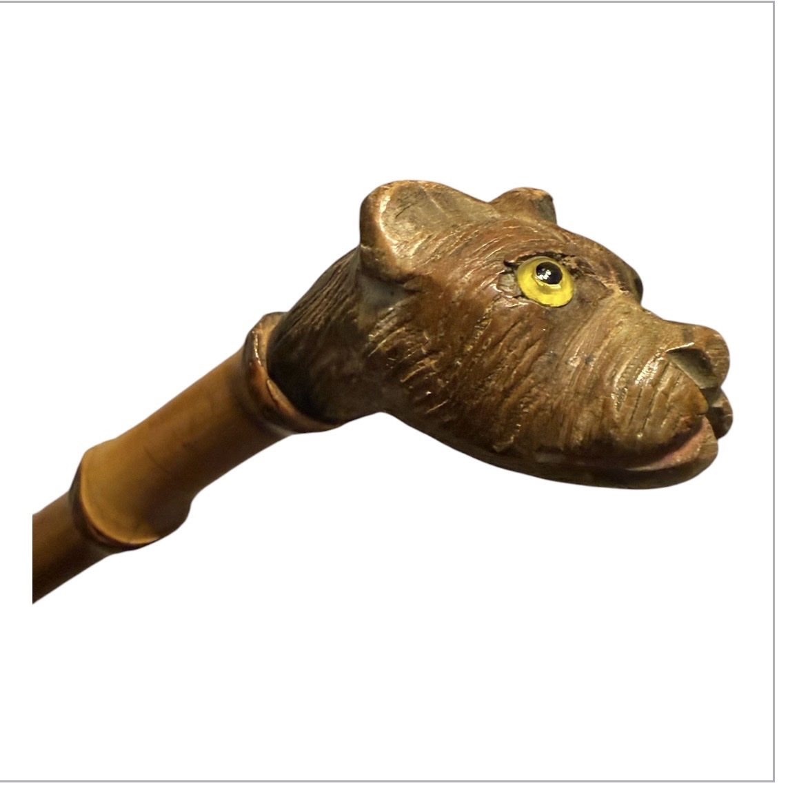Bamboo Cane – Carved Dog-head Pommel