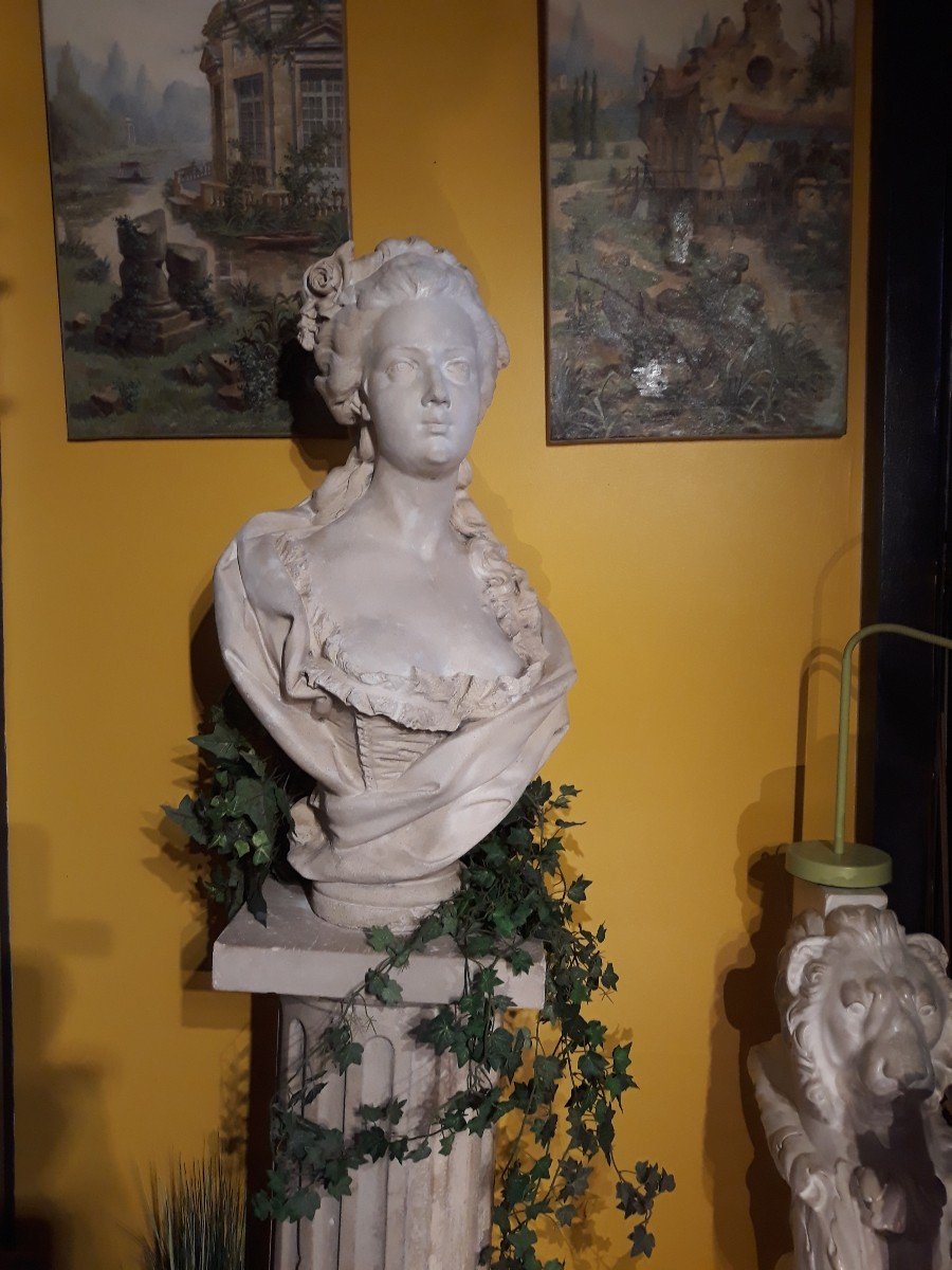 Bust Of Marie Antoinette-photo-2