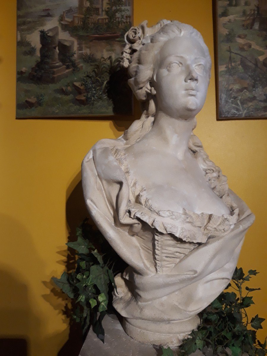 Bust Of Marie Antoinette-photo-1
