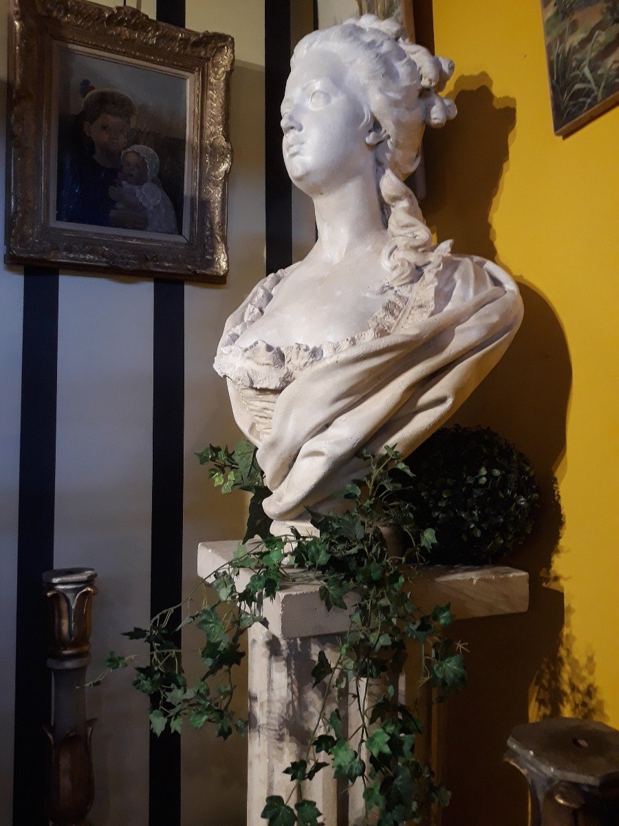 Buste De Marie-antoinette-photo-2