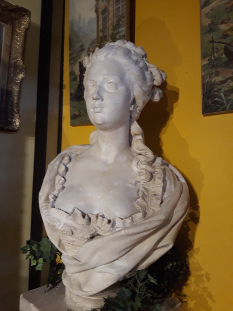 Bust Of Marie Antoinette-photo-5