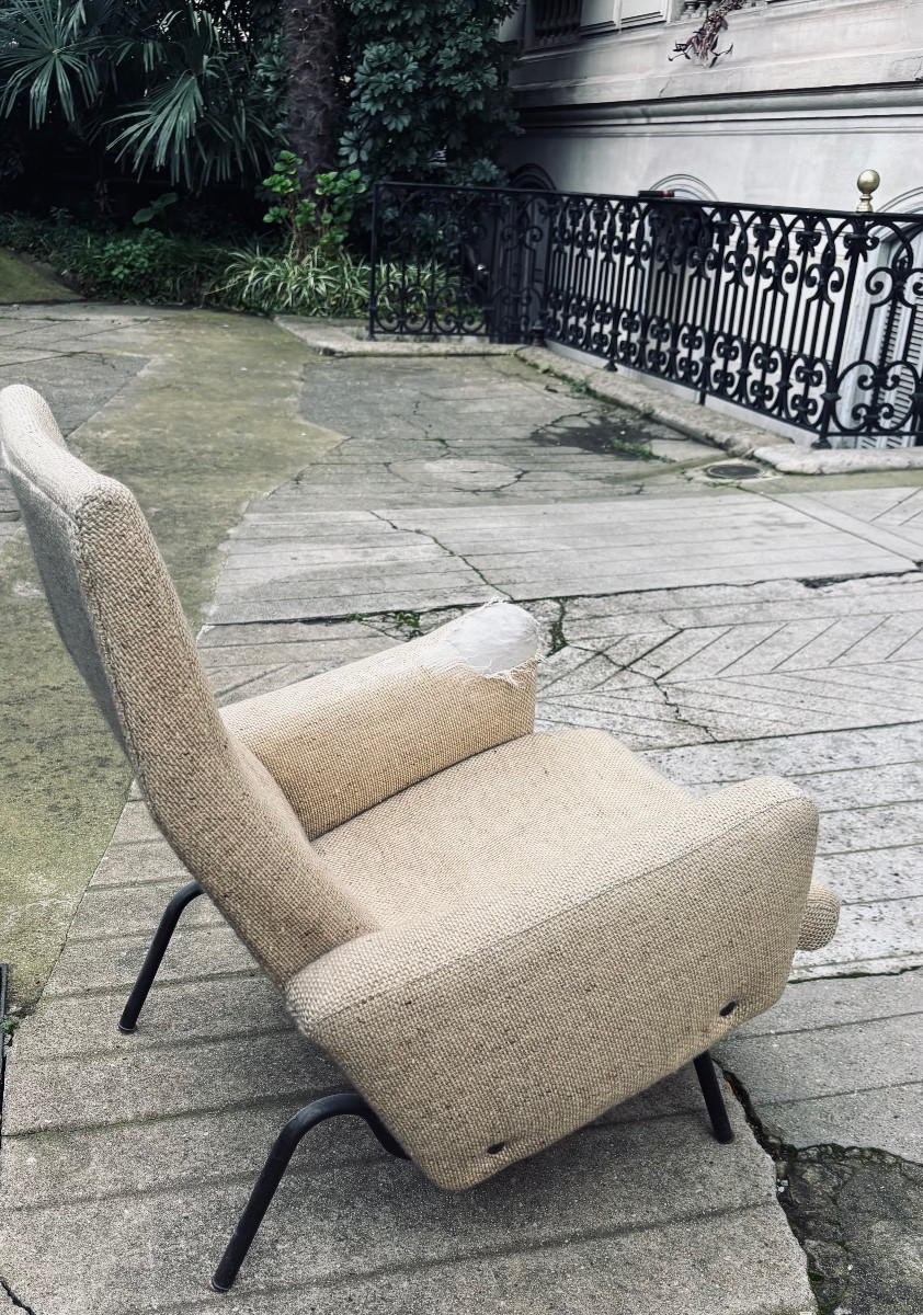 Fauteuil Georges Frydman 1960 -photo-2