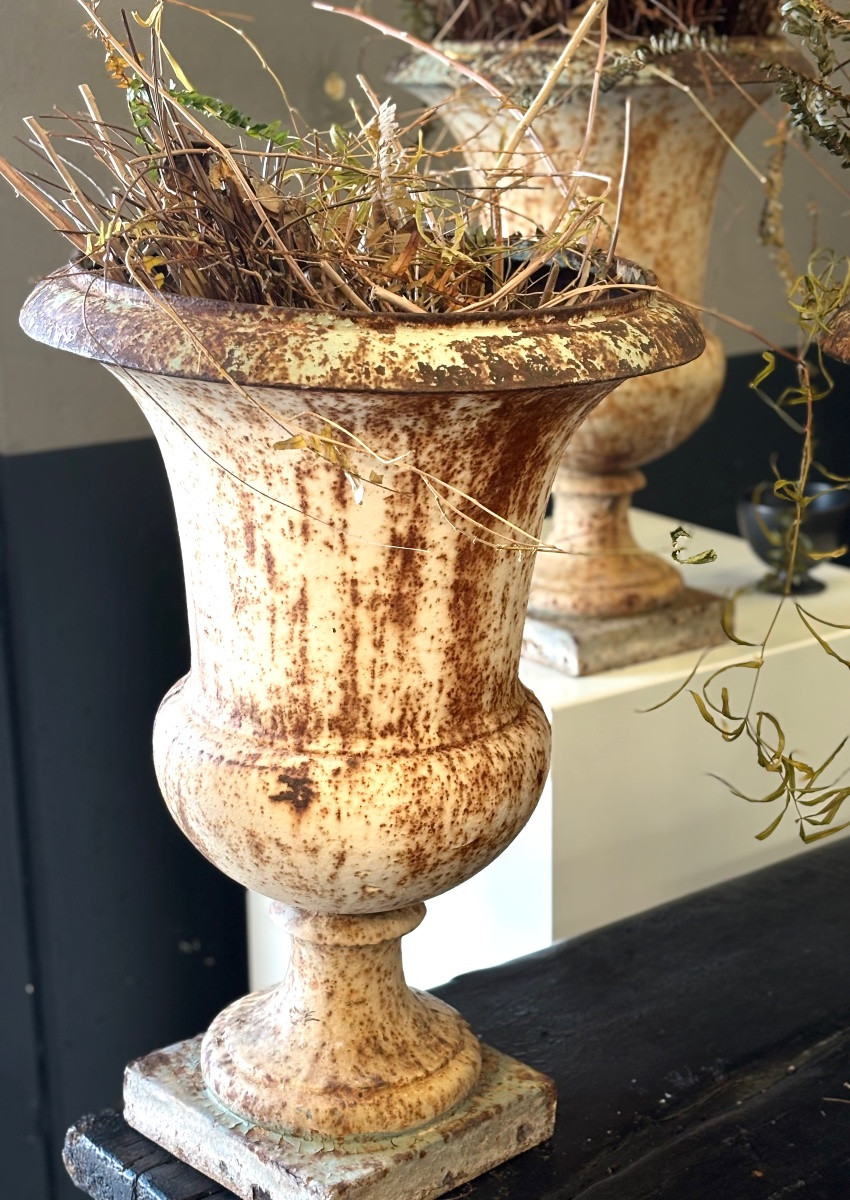 Medici Cast Iron Basins 19th Val d'Osne -photo-2