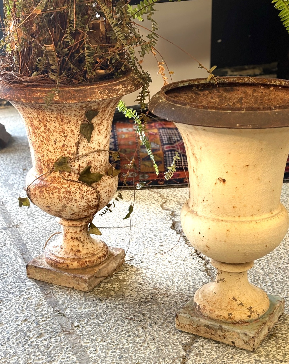 Medici Cast Iron Basins 19th Val d'Osne -photo-5