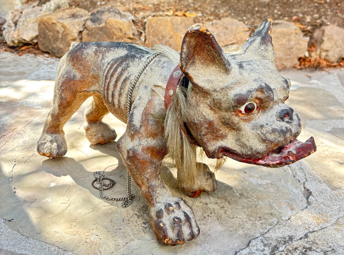 Bouledogue aboyeur en carton bouilli et crin  ancien vers 1910 -photo-3