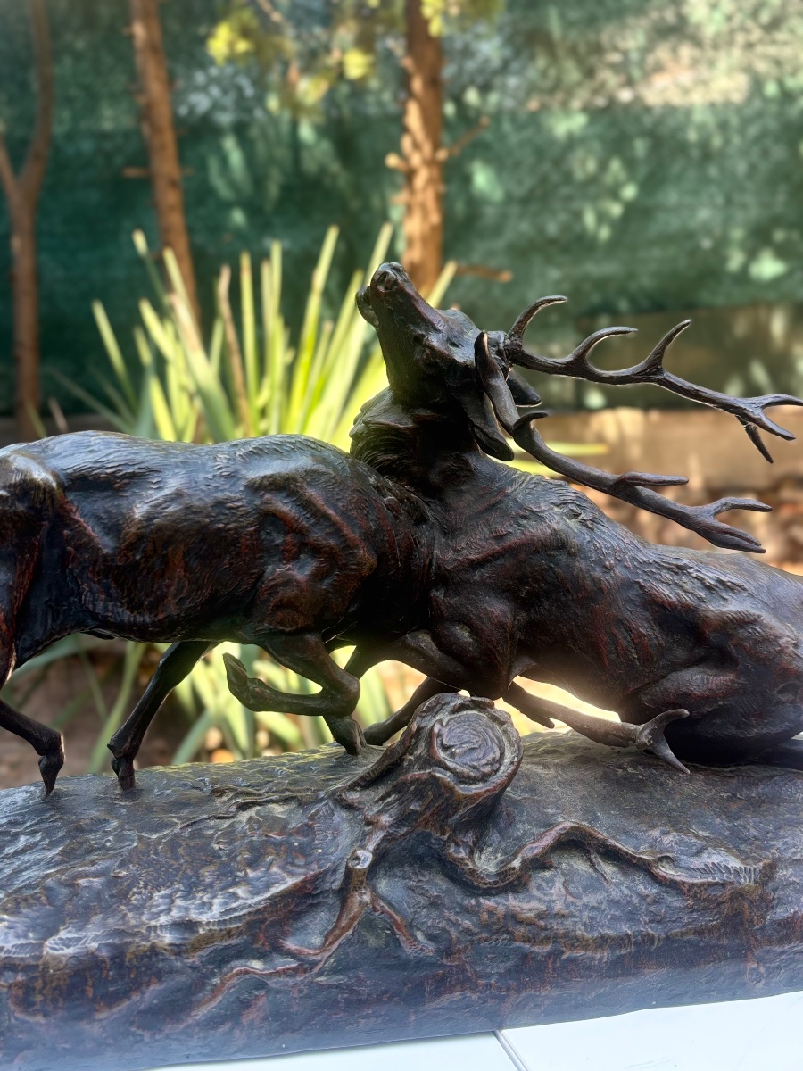 Sculpture en bronze signée MASSON combat de cerfs 19 e -photo-1