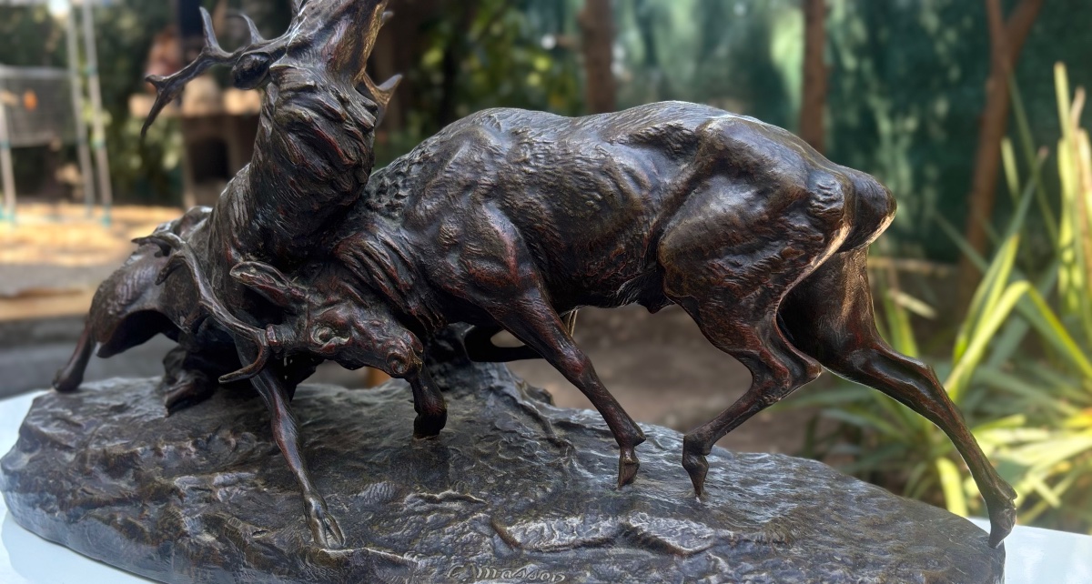 Sculpture en bronze signée MASSON combat de cerfs 19 e -photo-2