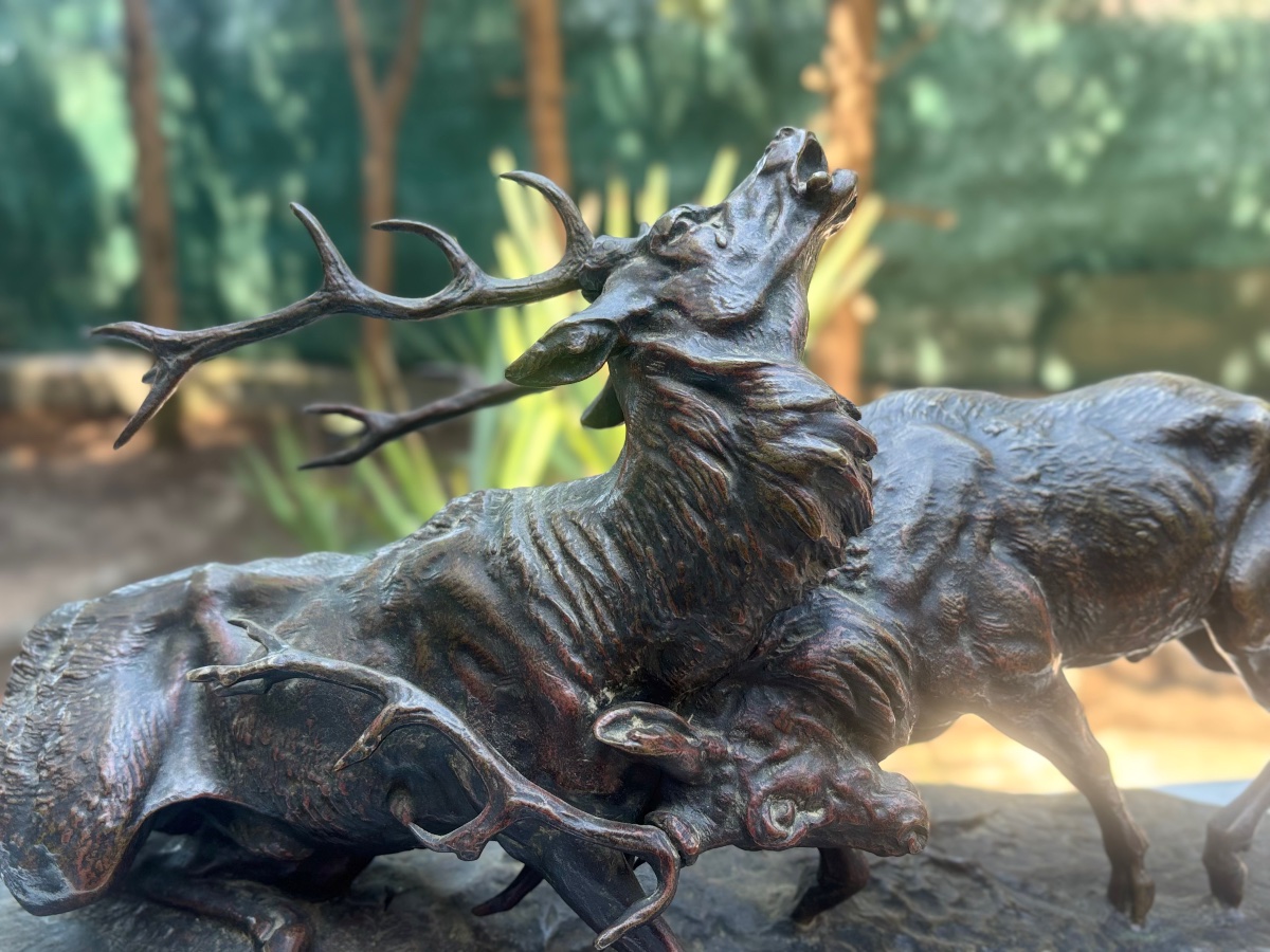 Sculpture en bronze signée MASSON combat de cerfs 19 e -photo-5