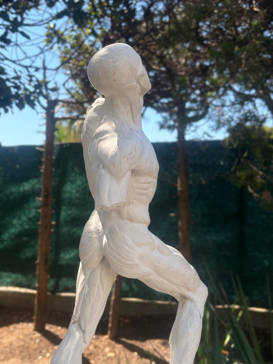 Antique 19th-century Plaster Anatomical Model From Jacques Eugène Caudron’s Cabinet Of Curiosities-photo-2