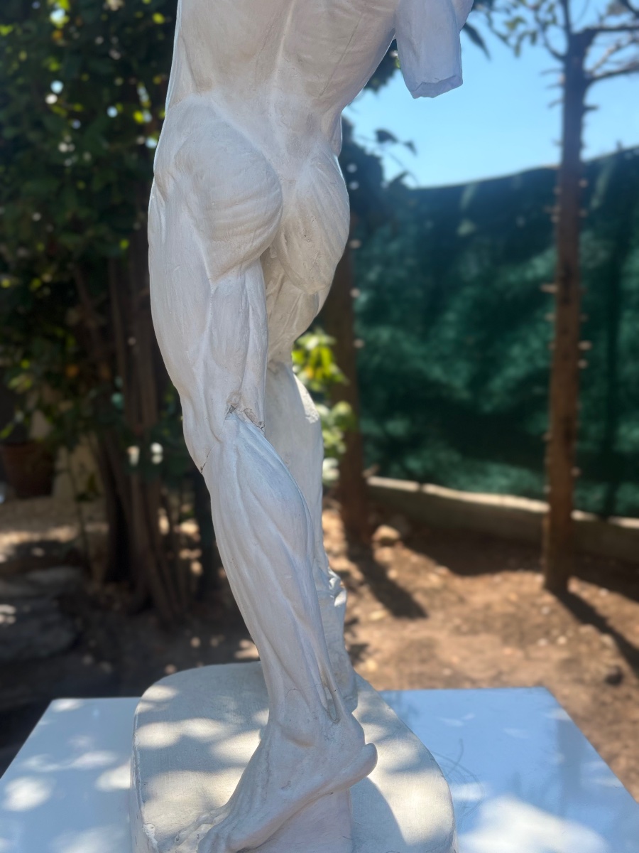 Antique 19th-century Plaster Anatomical Model From Jacques Eugène Caudron’s Cabinet Of Curiosities-photo-5