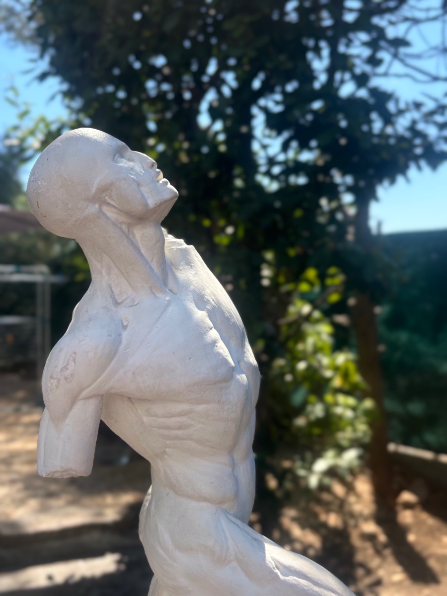 Antique 19th-century Plaster Anatomical Model From Jacques Eugène Caudron’s Cabinet Of Curiosities-photo-7