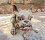 1789333-6a4a6e4f2a397.jpg
