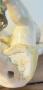 1841121-alb-6ad60bc577ec8.jpg