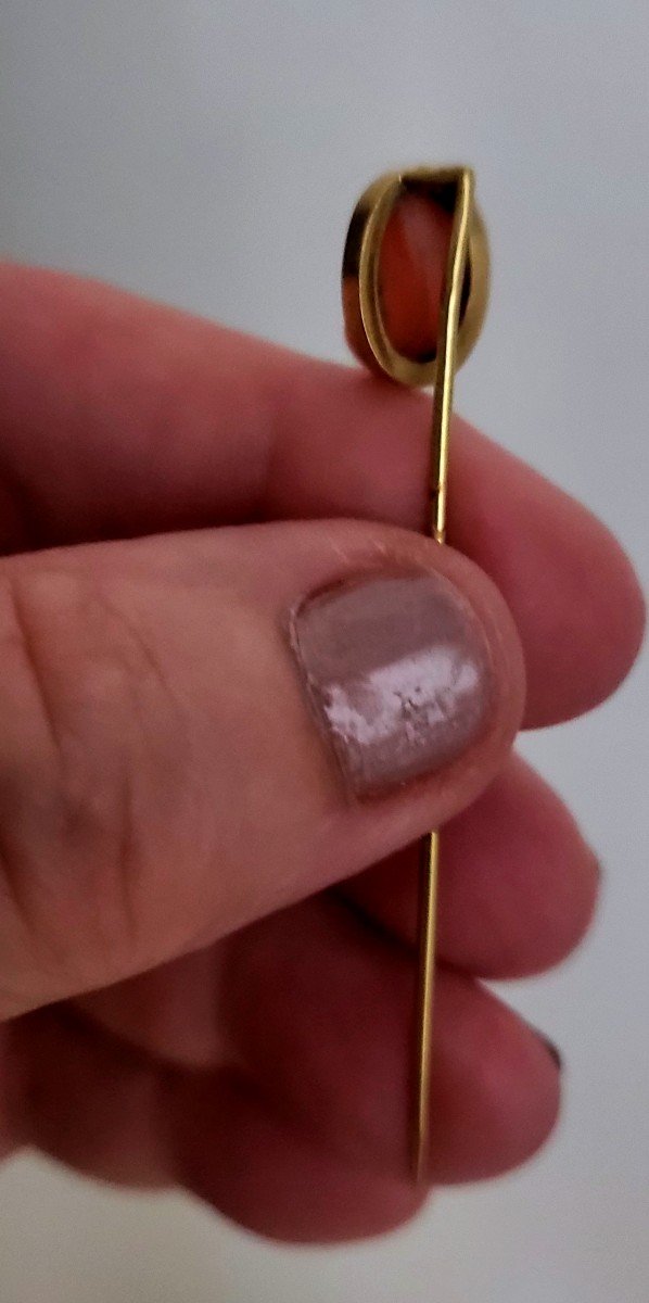 Epingle a Cravatte intaille sur Corail et Or 18ct. -photo-2