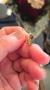 1831748-alb-6ac0decfcab0b.jpg