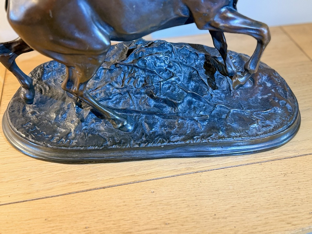 Pierre-Jules Mêne - Etalon antérieur droit levé-photo-3