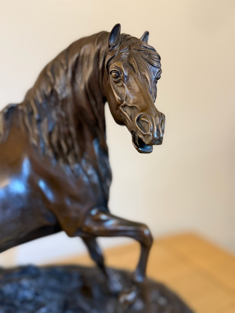 Pierre-Jules Mêne - Etalon antérieur droit levé-photo-4