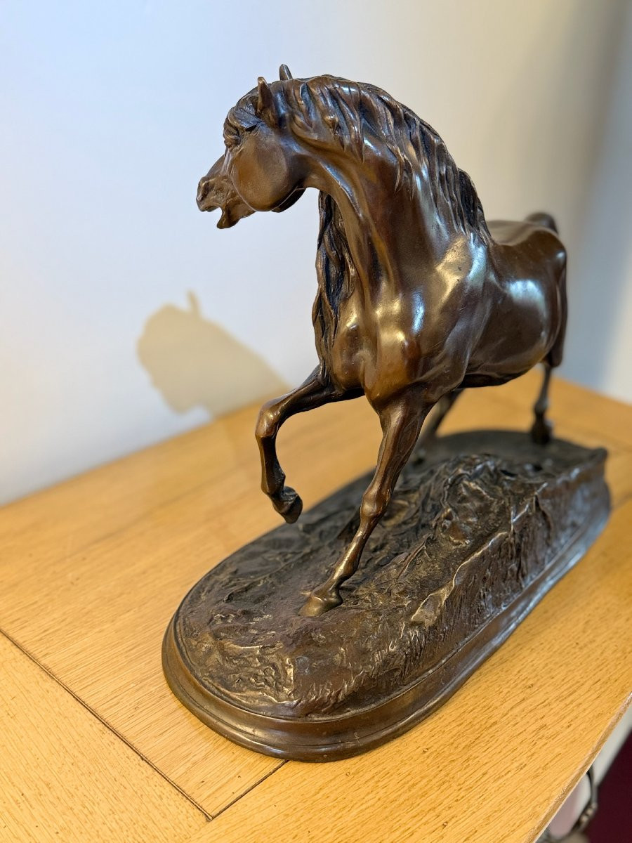 Pierre-Jules Mêne - Etalon antérieur droit levé-photo-2