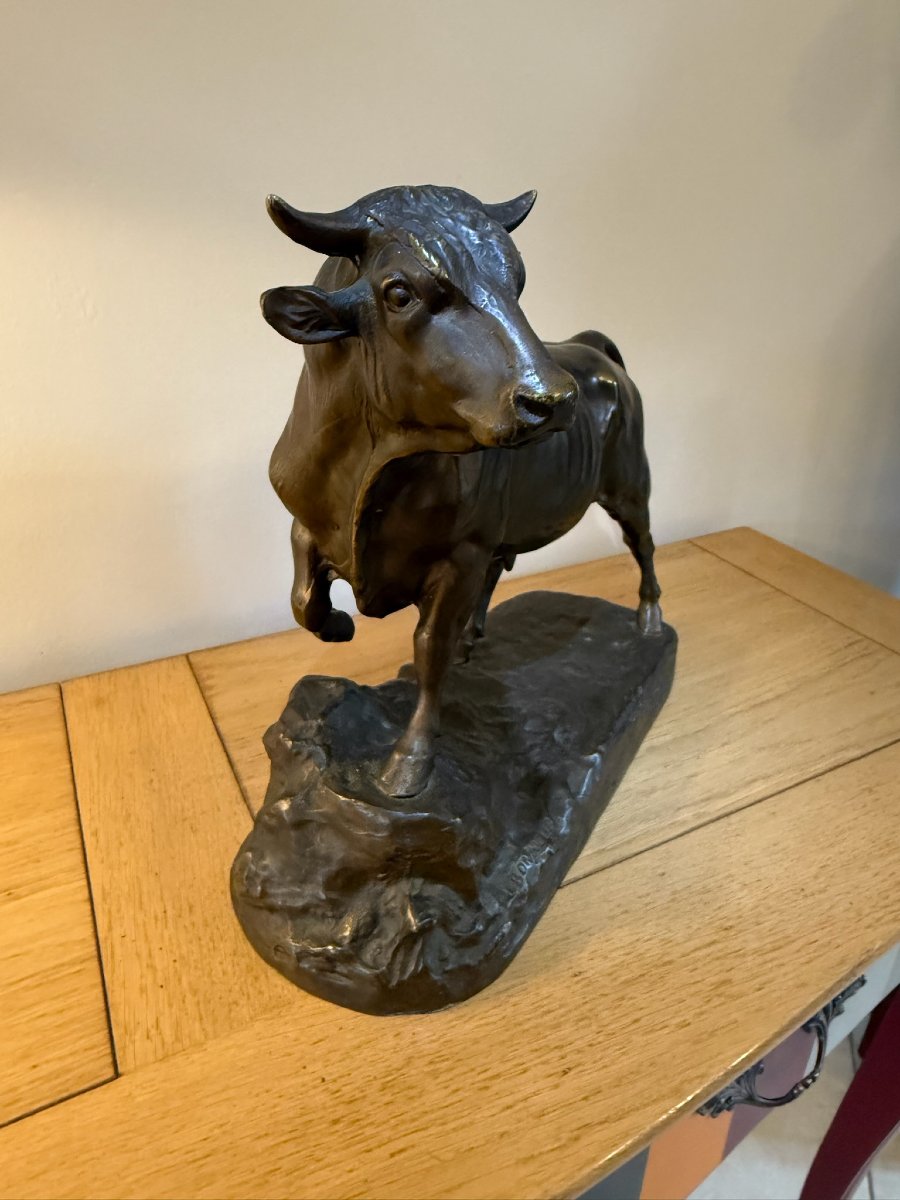 Isidore Bonheur - Taureau-photo-2