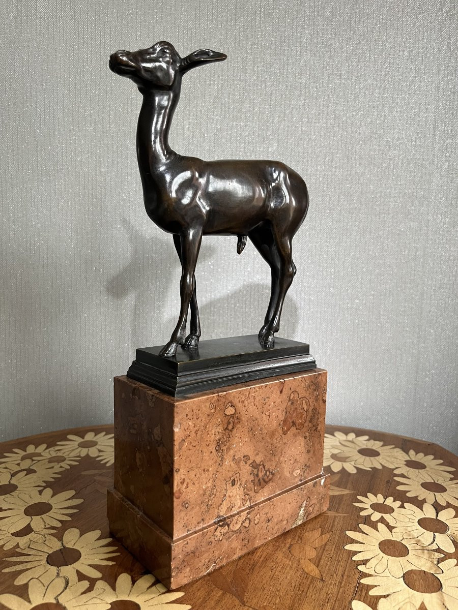 Bronze Fawn - Italy - Late 19th/early 20th Century-photo-2
