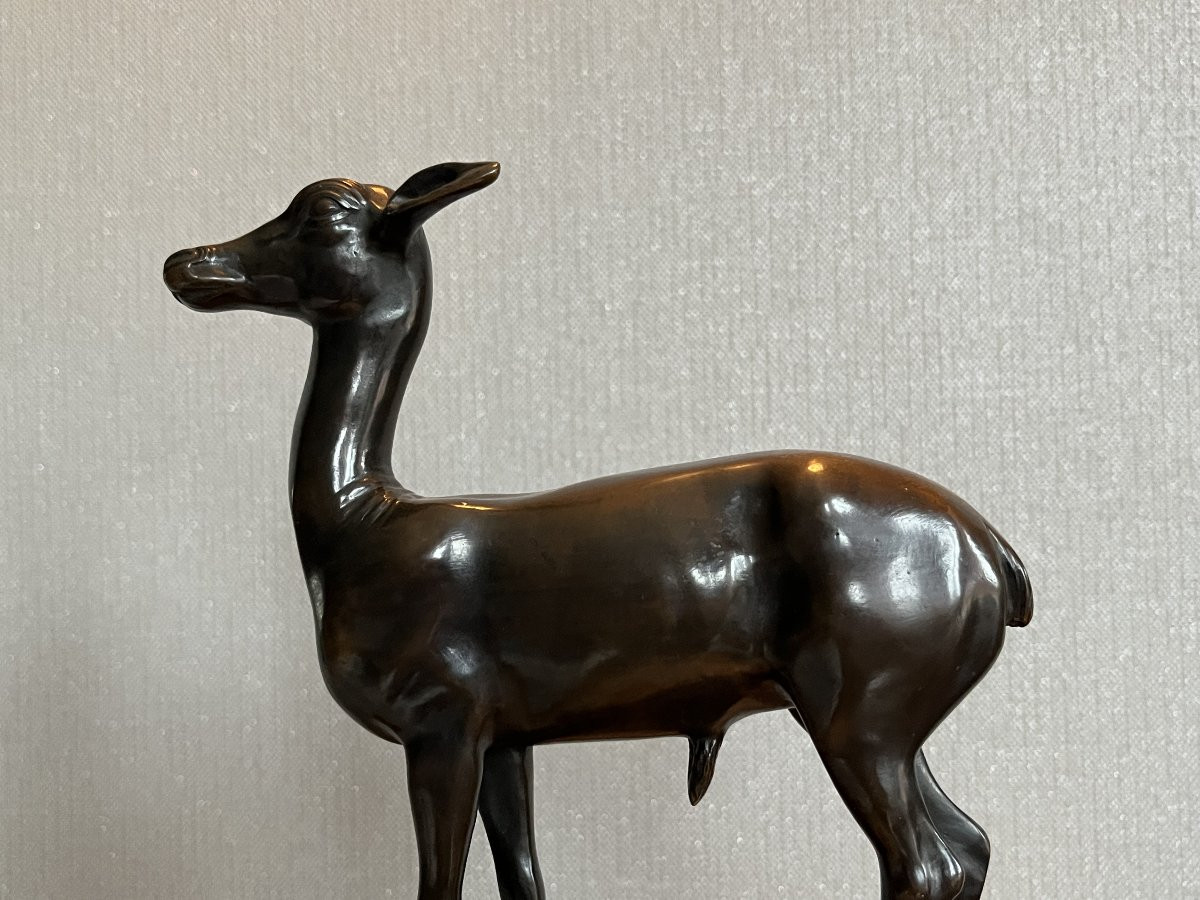 Bronze Fawn - Italy - Late 19th/early 20th Century-photo-3