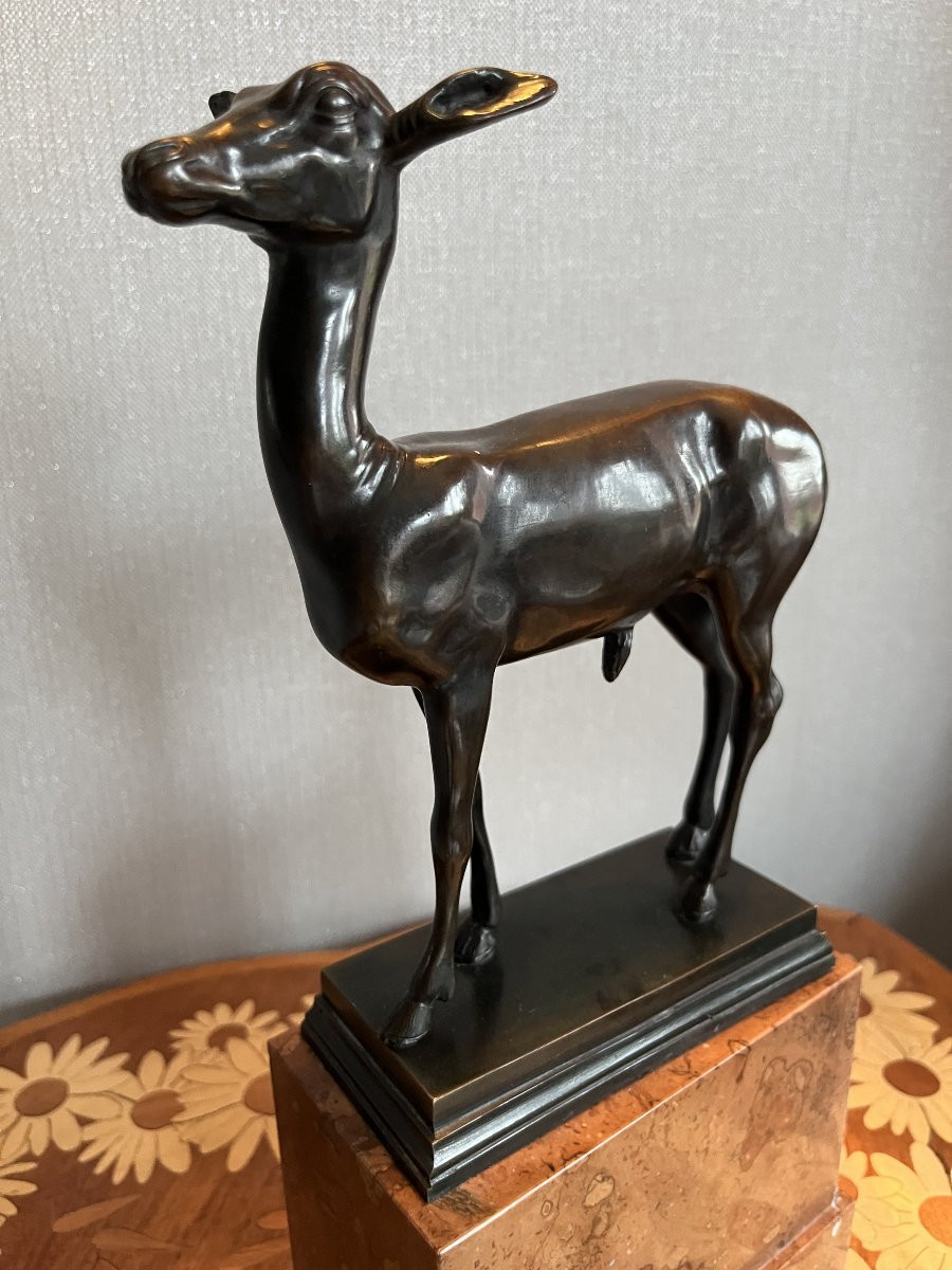 Bronze Fawn - Italy - Late 19th/early 20th Century-photo-4