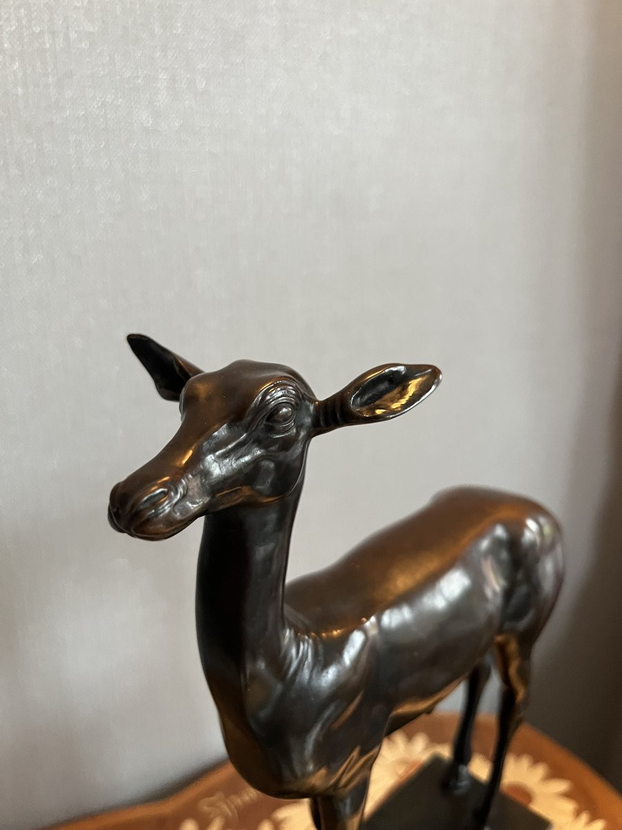 Bronze Fawn - Italy - Late 19th/early 20th Century-photo-4