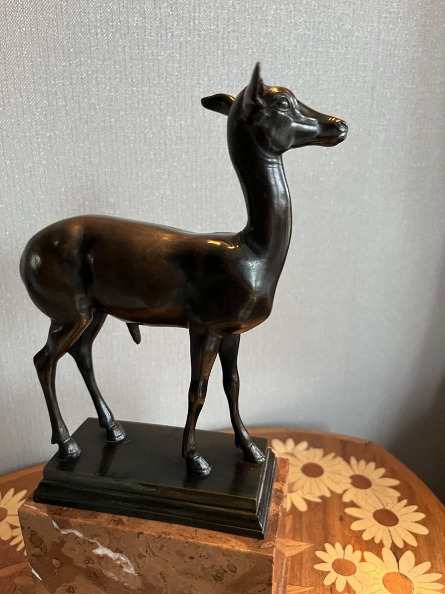 Bronze Fawn - Italy - Late 19th/early 20th Century-photo-5