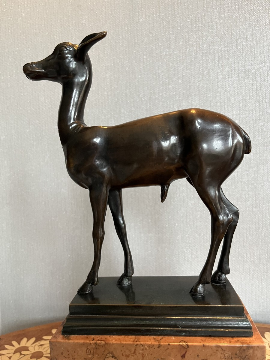 Bronze Fawn - Italy - Late 19th/early 20th Century