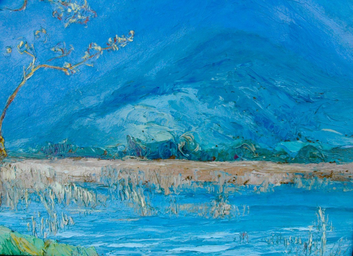 Table XIX Mountain Landscape Oil Thick Cardboard Signed By Etienne Albrieux-photo-4