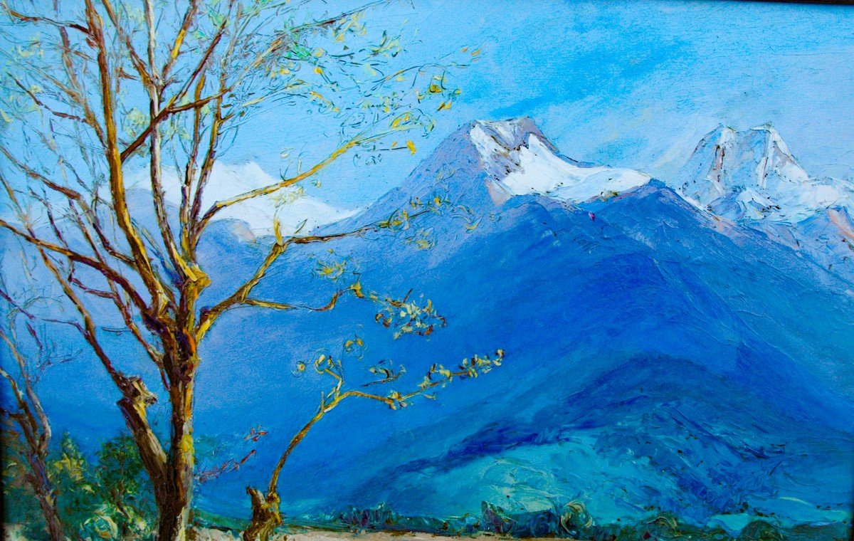 Table XIX Mountain Landscape Oil Thick Cardboard Signed By Etienne Albrieux-photo-7