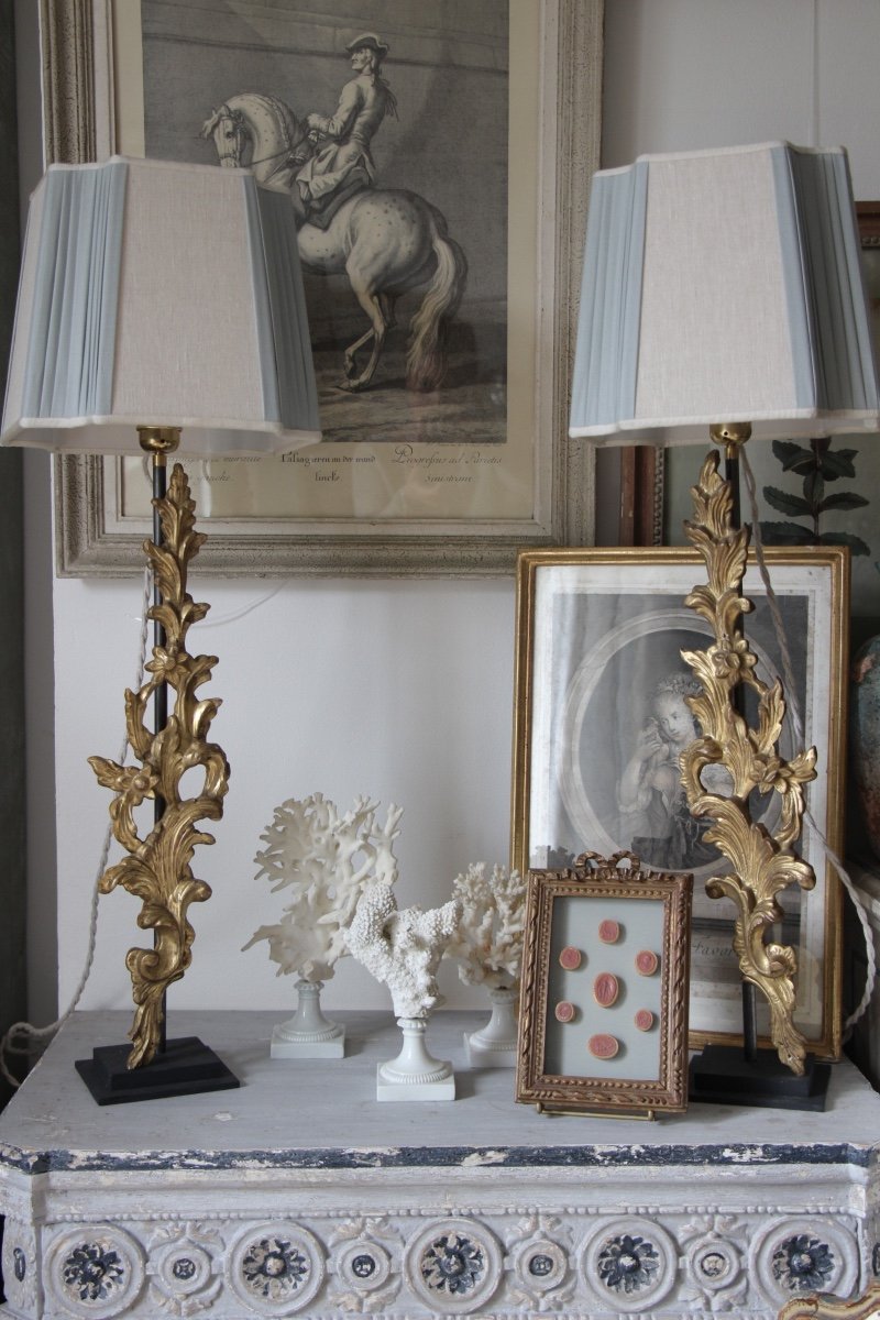 Pair Of 18th Century Foliage Lamps