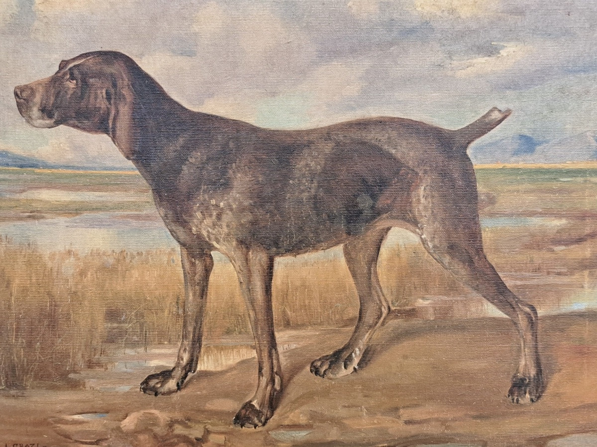 Un chien de chasse du peintre Lionello Grazi-photo-3