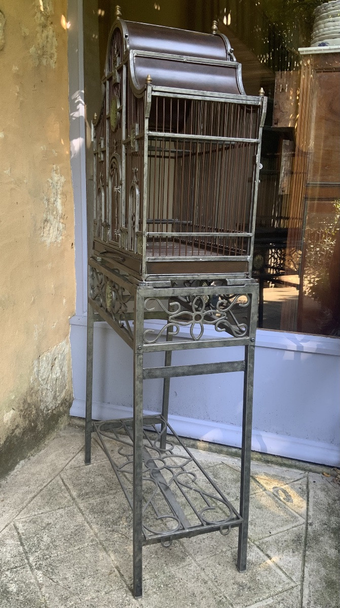 20th Century: A Birdcage -photo-3