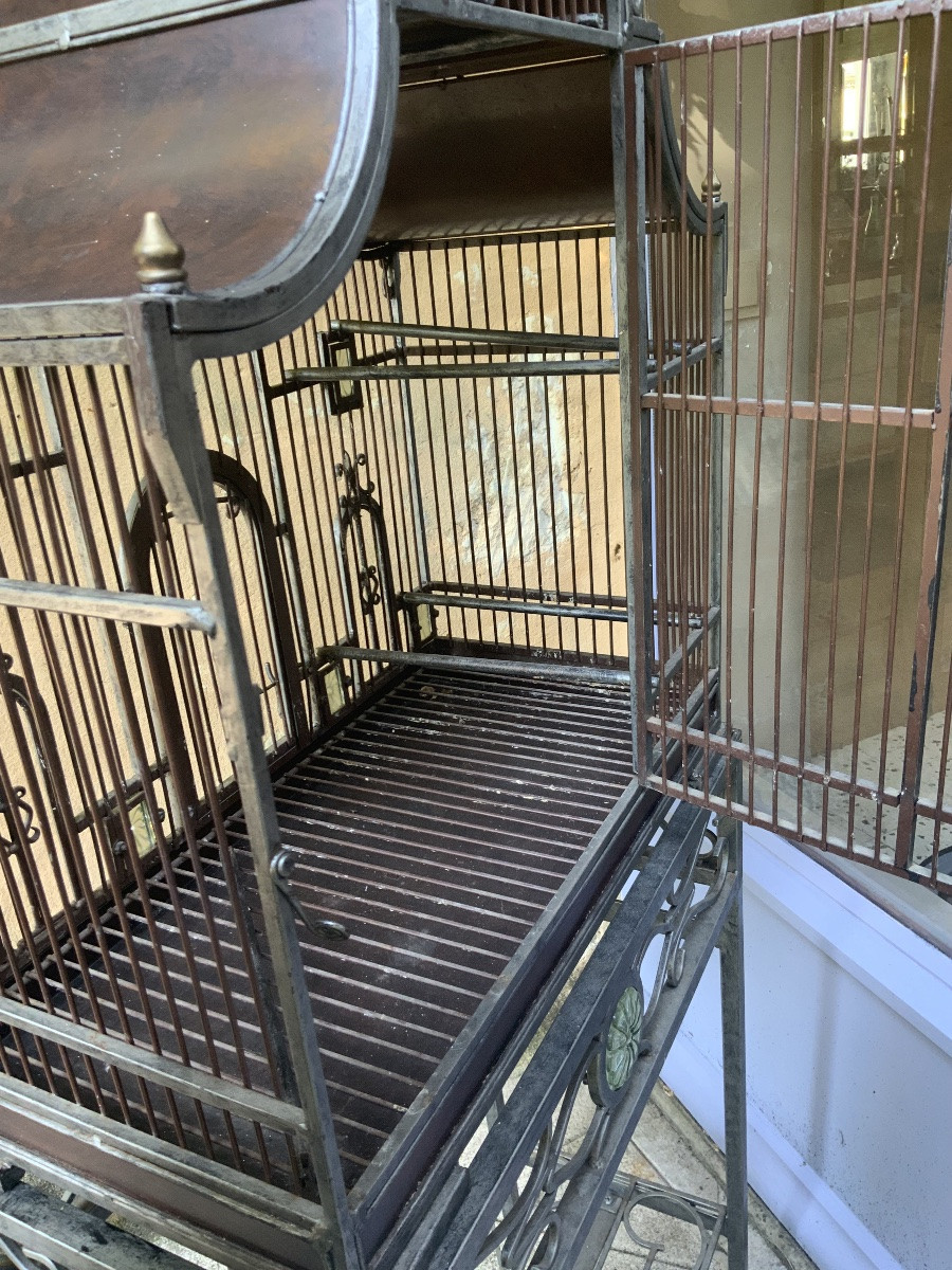 20th Century: A Birdcage -photo-7